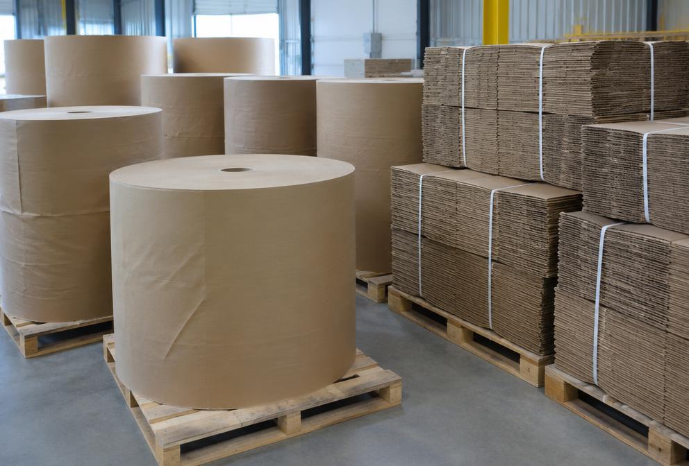 Paper rolls and bundled cardboard packaging on pallets